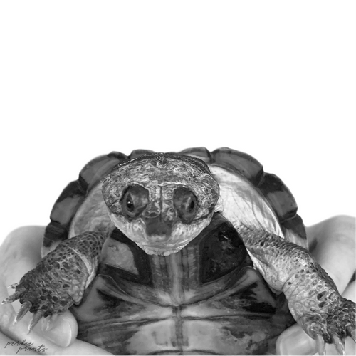 Black & White portrait