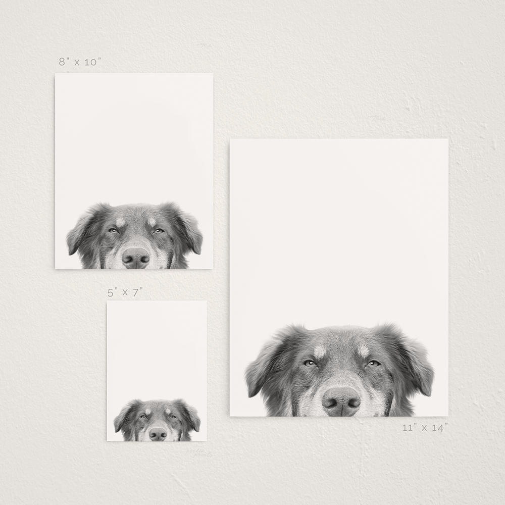 Peeking Pet Unframed Print