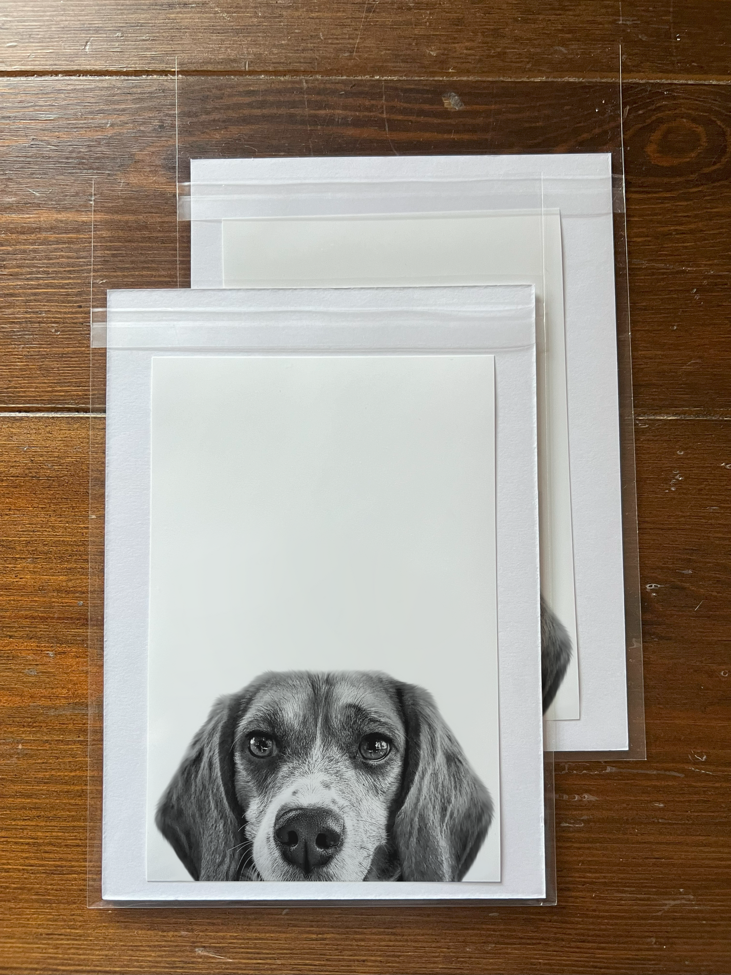 Peeking Pet Unframed Print