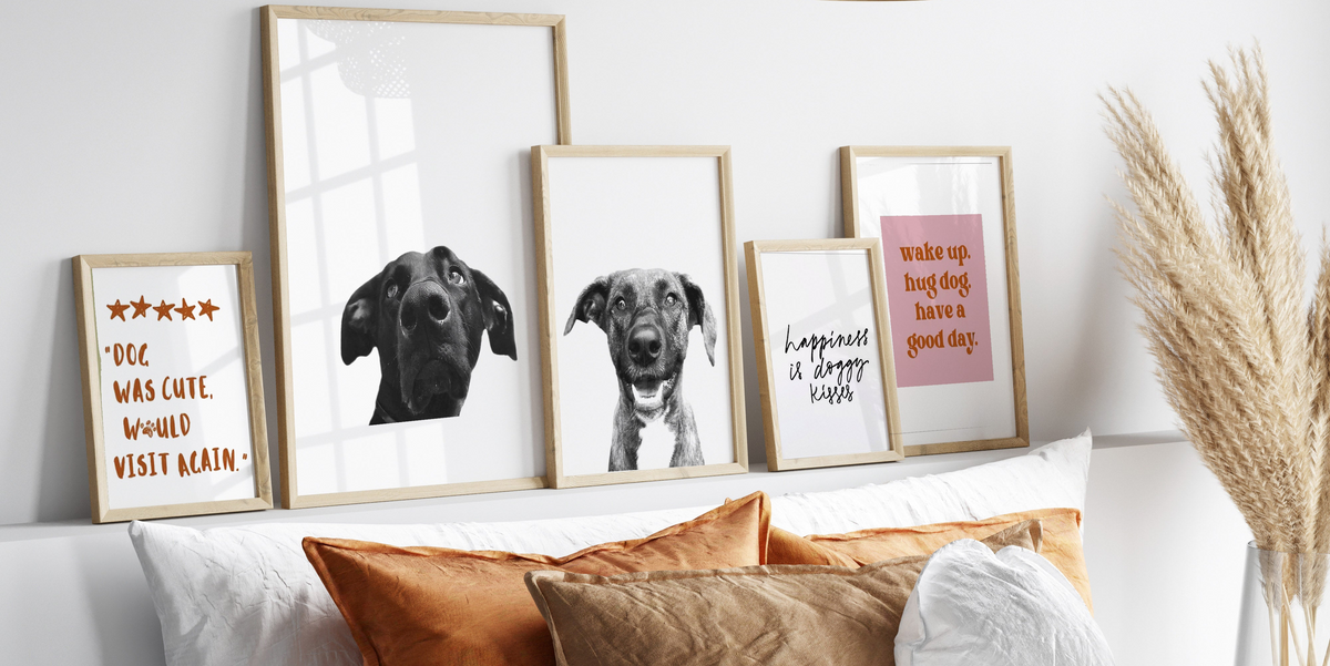 Black and white pet portrait framed prints displayed on bedroom wall in natural frames