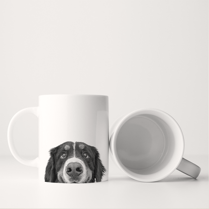 Bernese Mountain Dog 