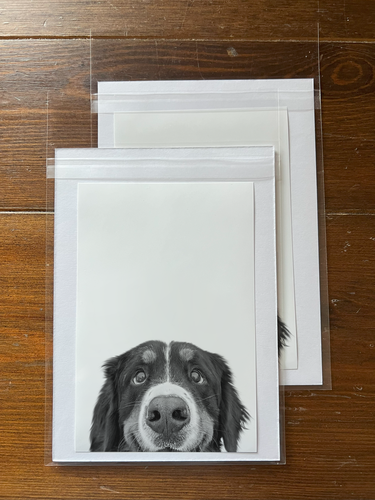 Peeking Pet Unframed Print