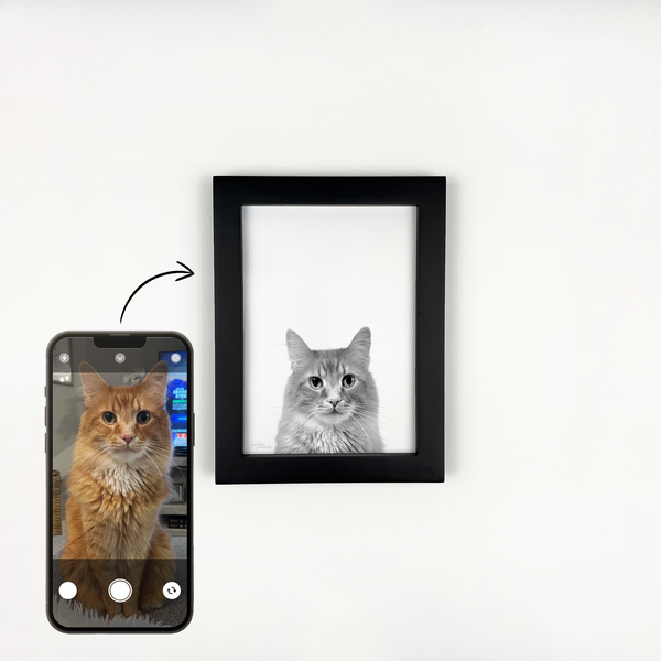 Pet Portrait in Black Frame