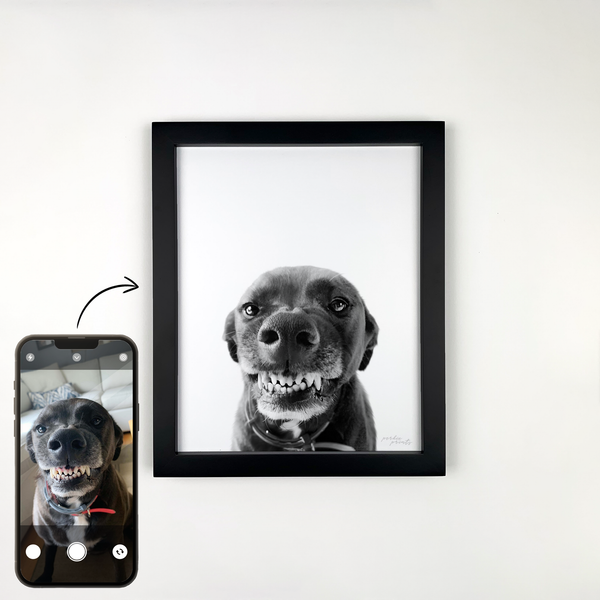 Personalized Pet Portrait in Black Frame