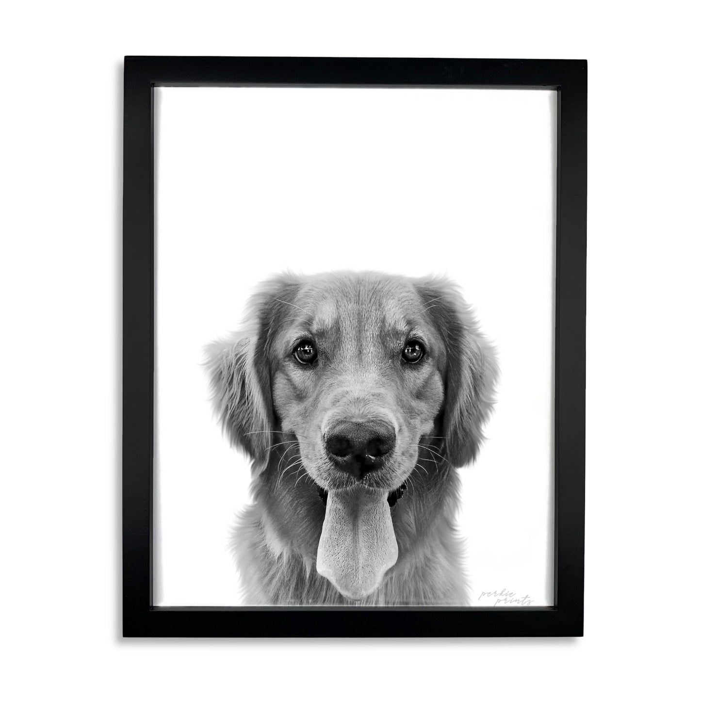 Pet Portrait in Black Frame