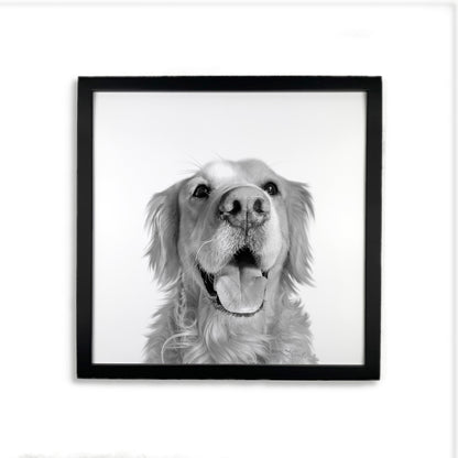 Pet Portrait in Black Frame