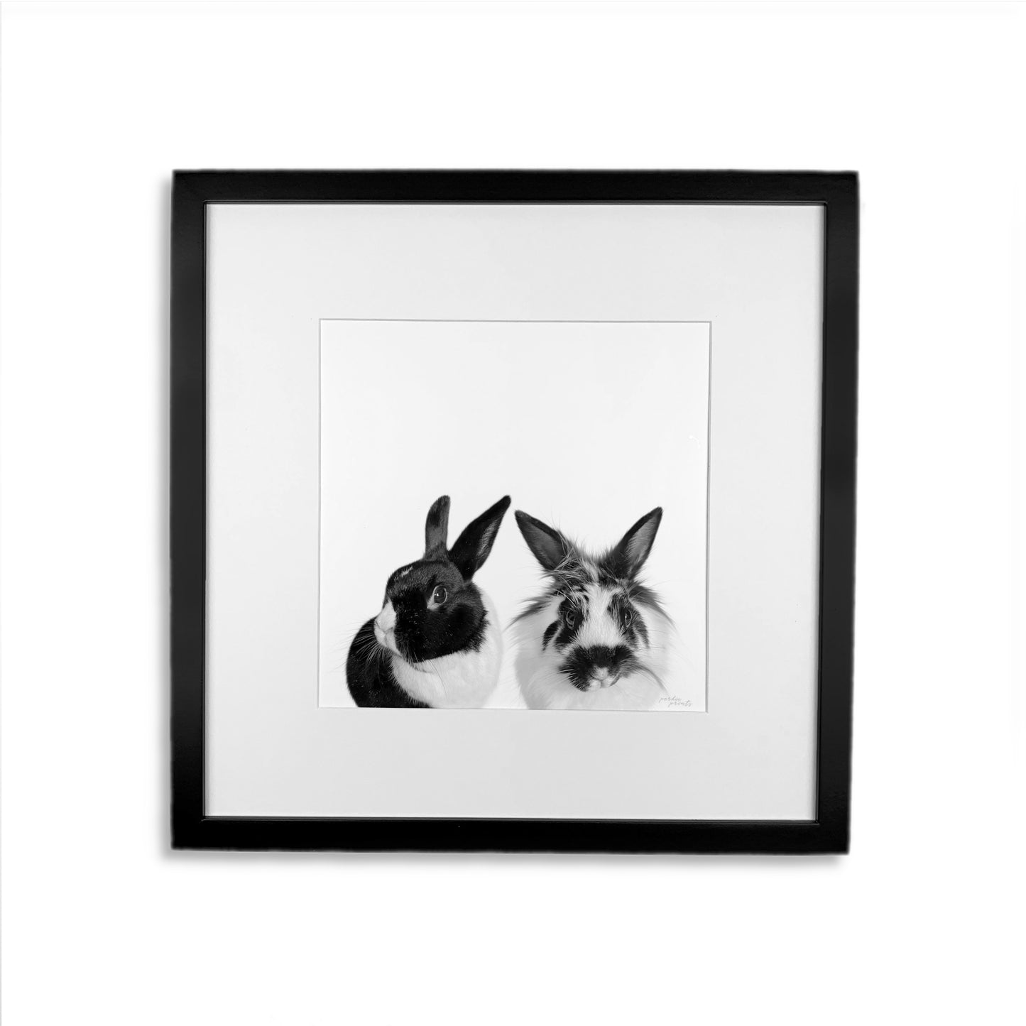 Pet Portrait in Black Frame