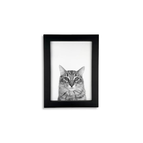 Pet Portrait in Black Frame