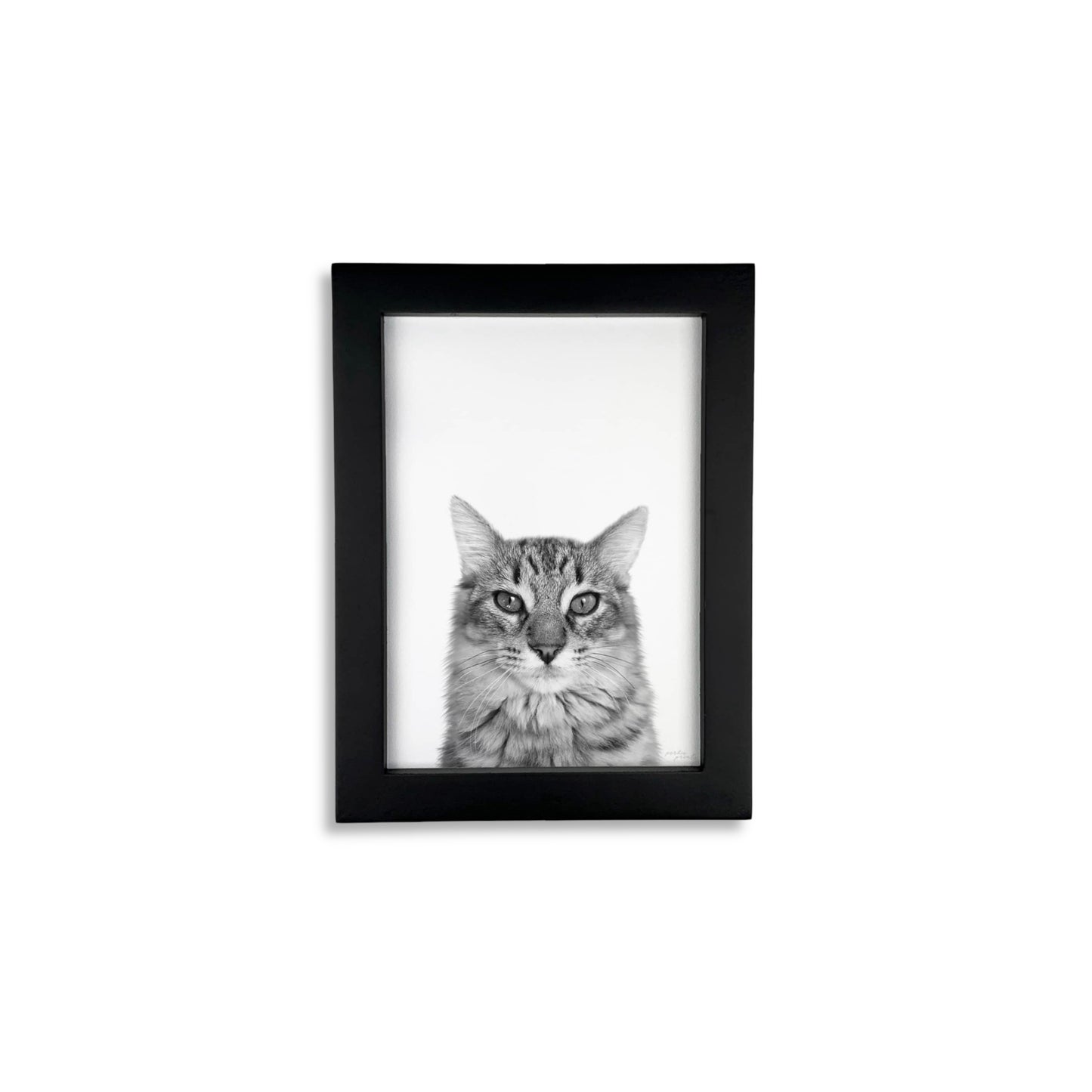 Pet Portrait in Black Frame