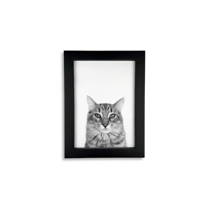 Pet Portrait in Black Frame