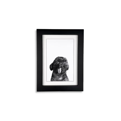 Pet Portrait in Black Frame