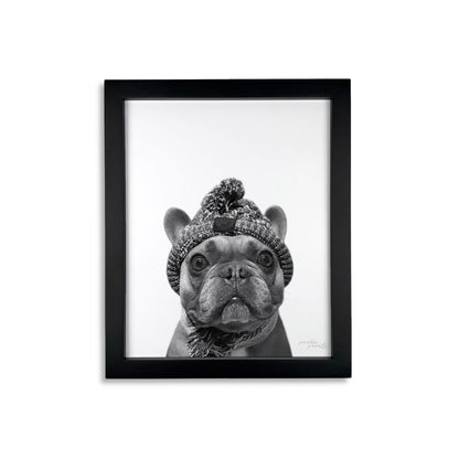 Pet Portrait in Black Frame