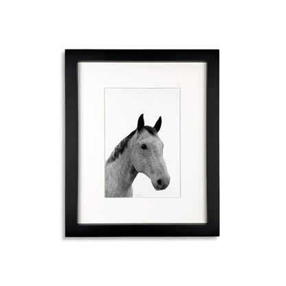 Pet Portrait in Black Frame