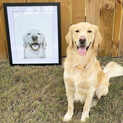 Black Framed Personalized Perkie Print new
