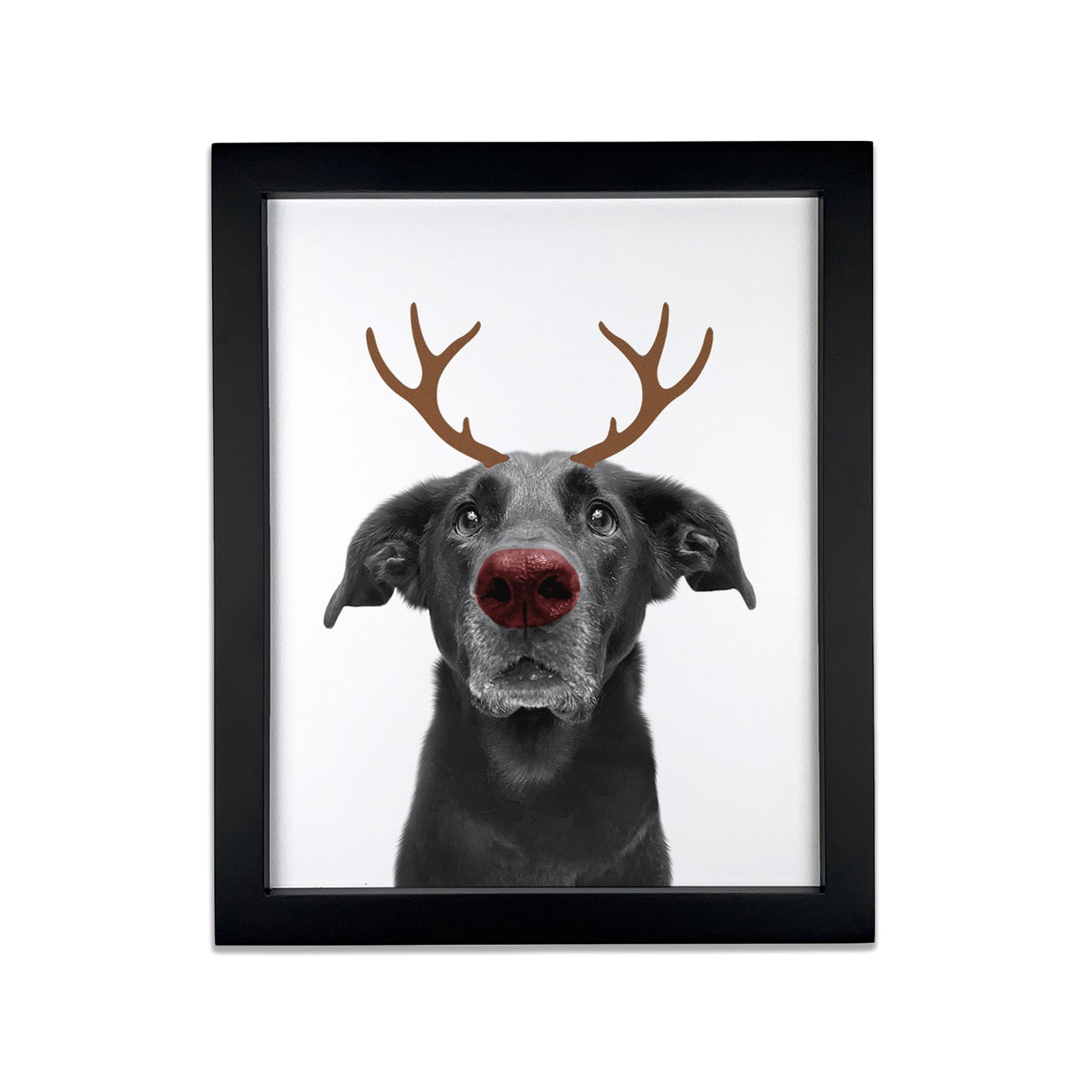Holiday Pet Portrait in Black Frame
