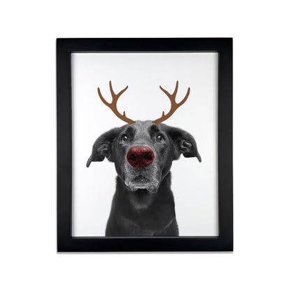 Holiday Pet Portrait in Black Frame