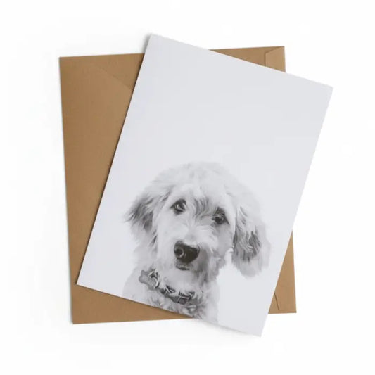 Pet Portrait Cards