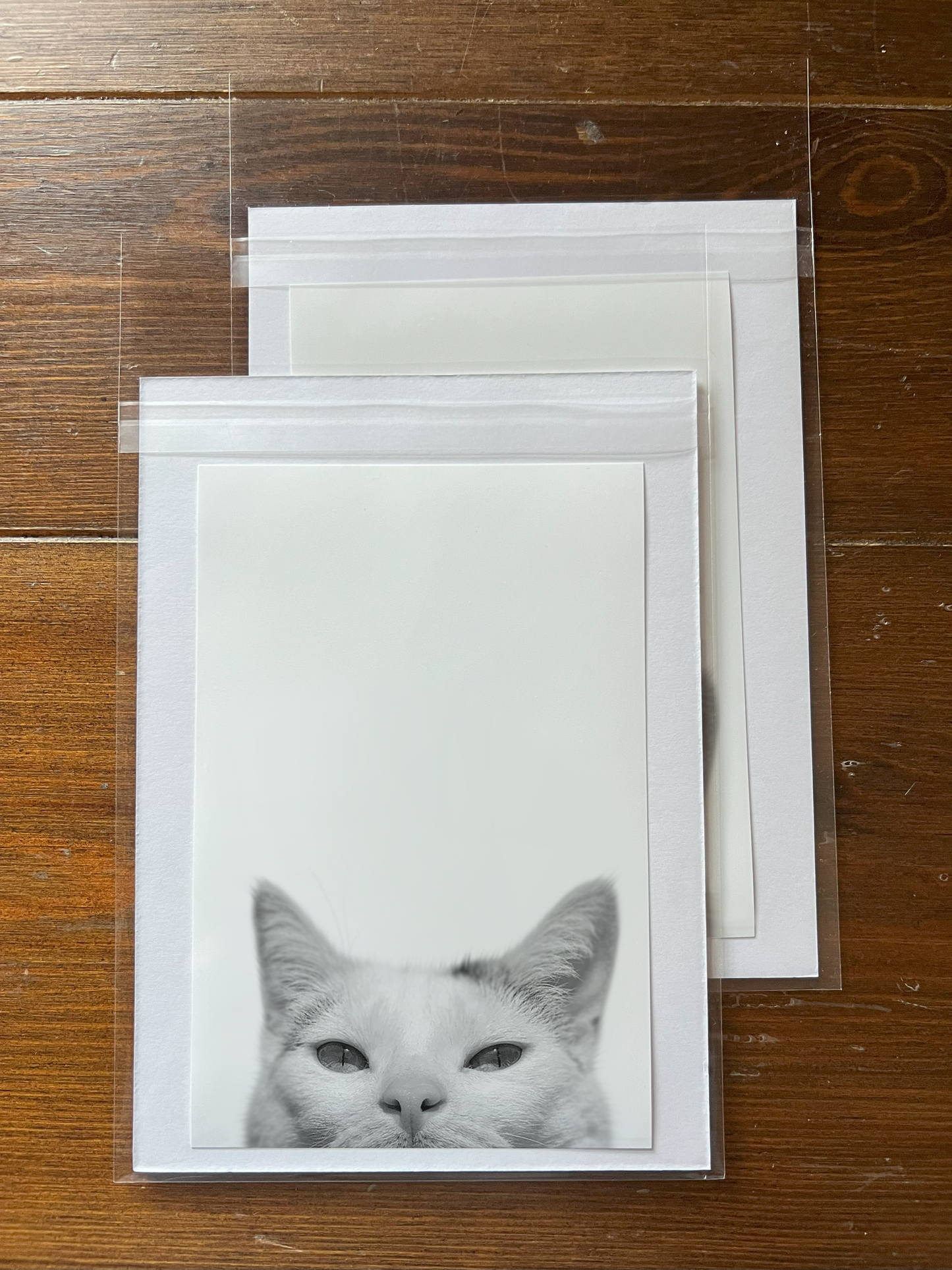 Peeking Pet Unframed Print