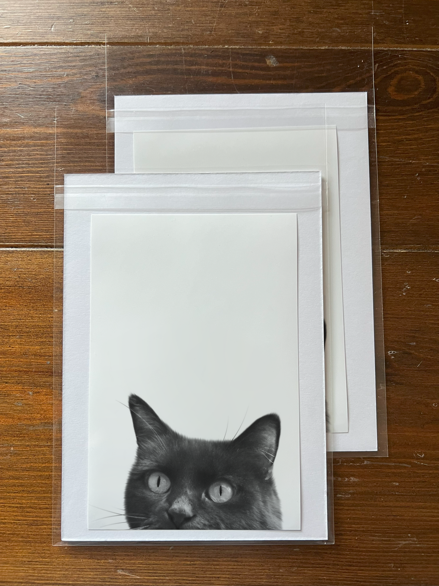 Peeking Pet Unframed Print