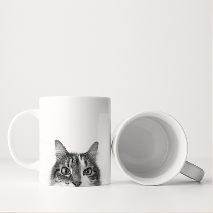 Cat 4