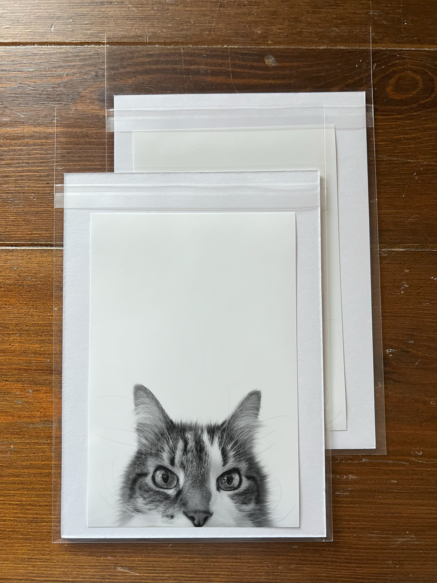 Peeking Pet Unframed Print