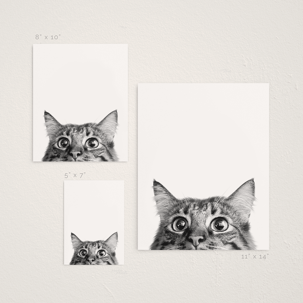 Peeking Pet Unframed Print