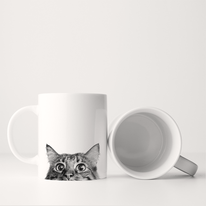 Cat 5