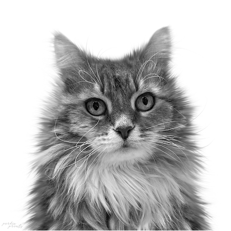 Black & White portrait