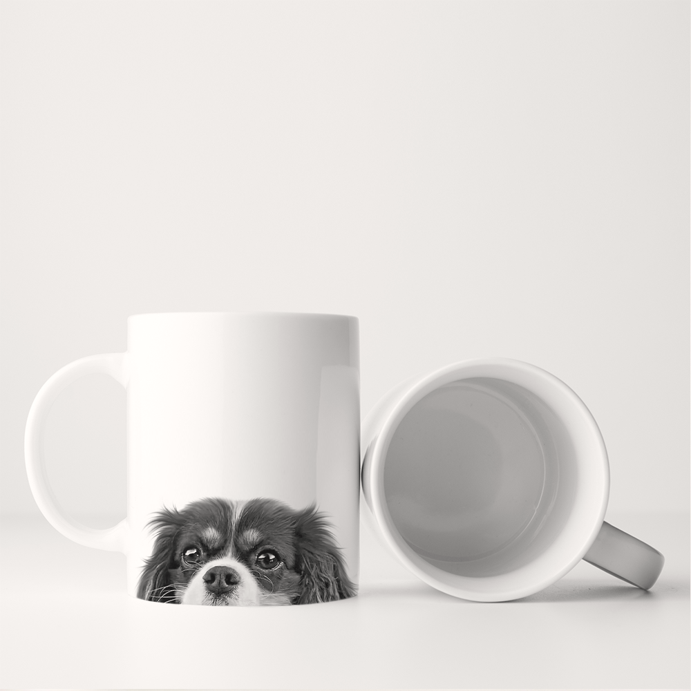 Cavalier King Charles 2
