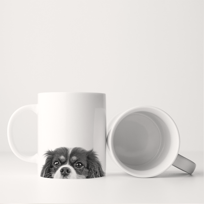 Cavalier King Charles 2