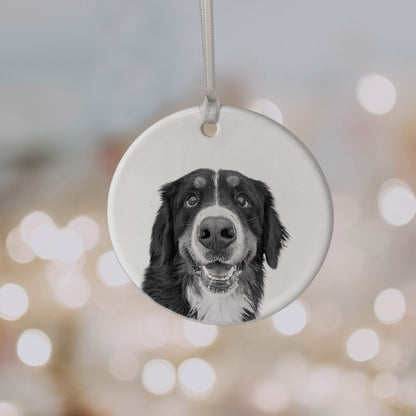 Personalized Pet Ceramic Holiday Ornament