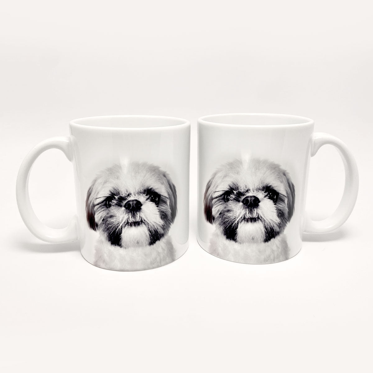 Personalized Pet Coffee Mug- Set of 2