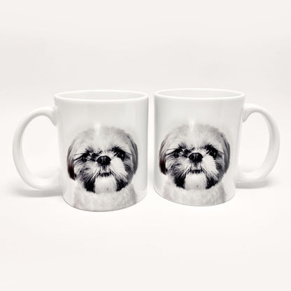 Personalized Pet Coffee Mug- Set of 2