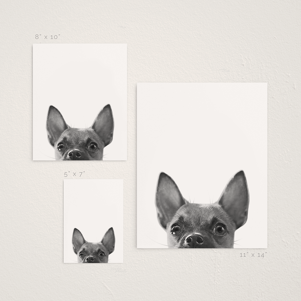 Peeking Pet Unframed Print