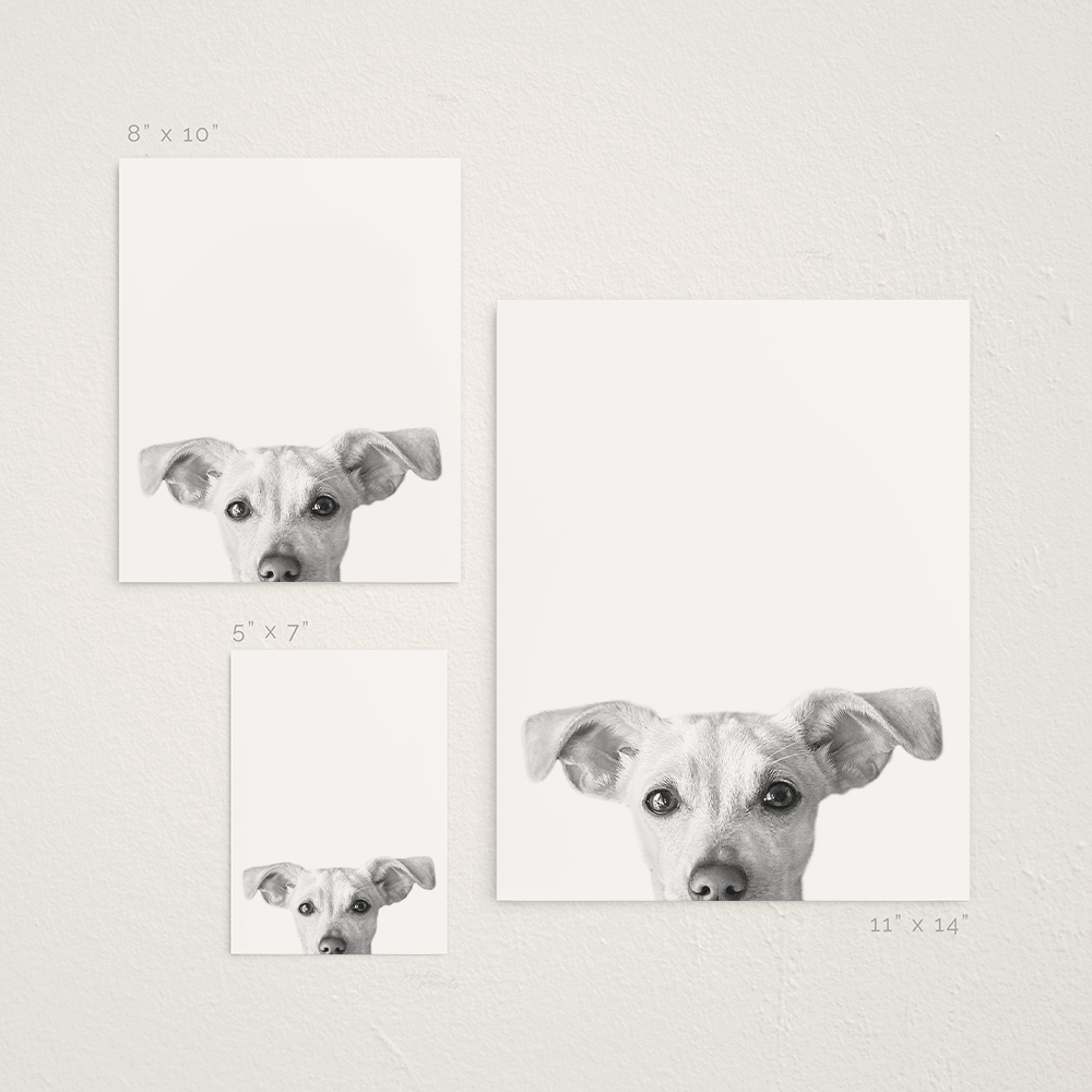 Peeking Pet Unframed Print