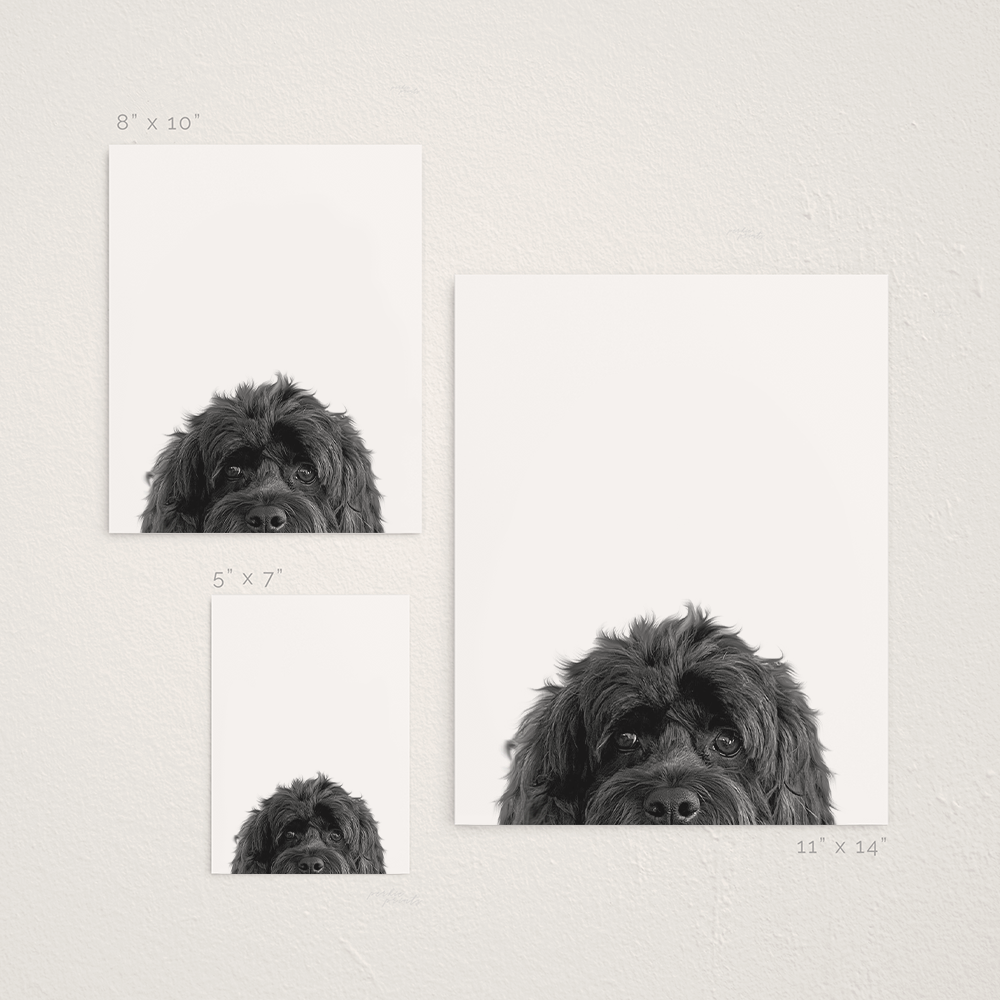 Peeking Pet Unframed Print