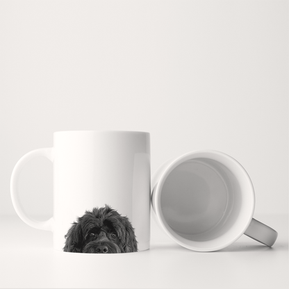 Cockapoo