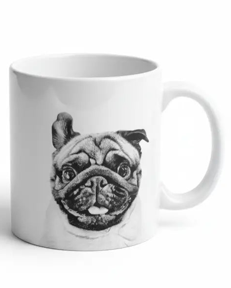 The Coffee Mug held on a kitchen counter in morning light