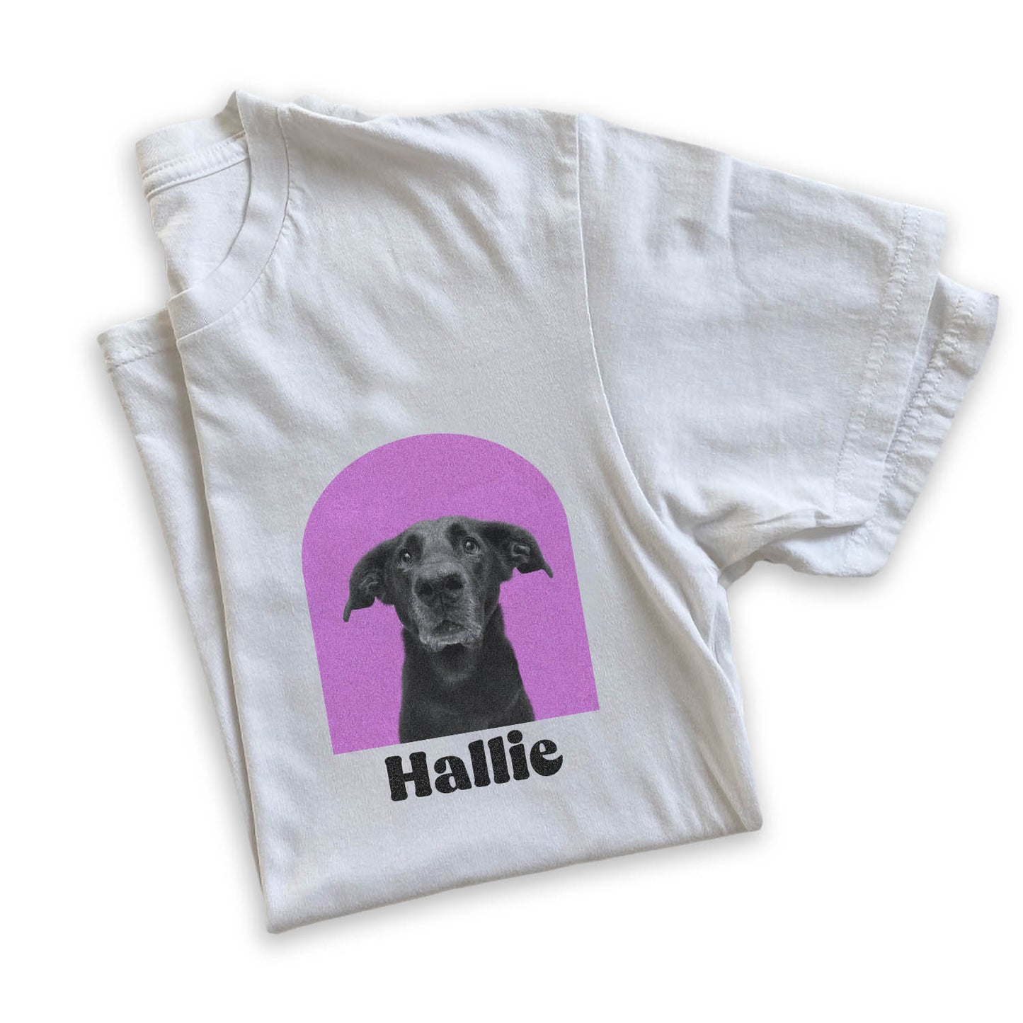 Color Arch Crew - Left Chest Graphic