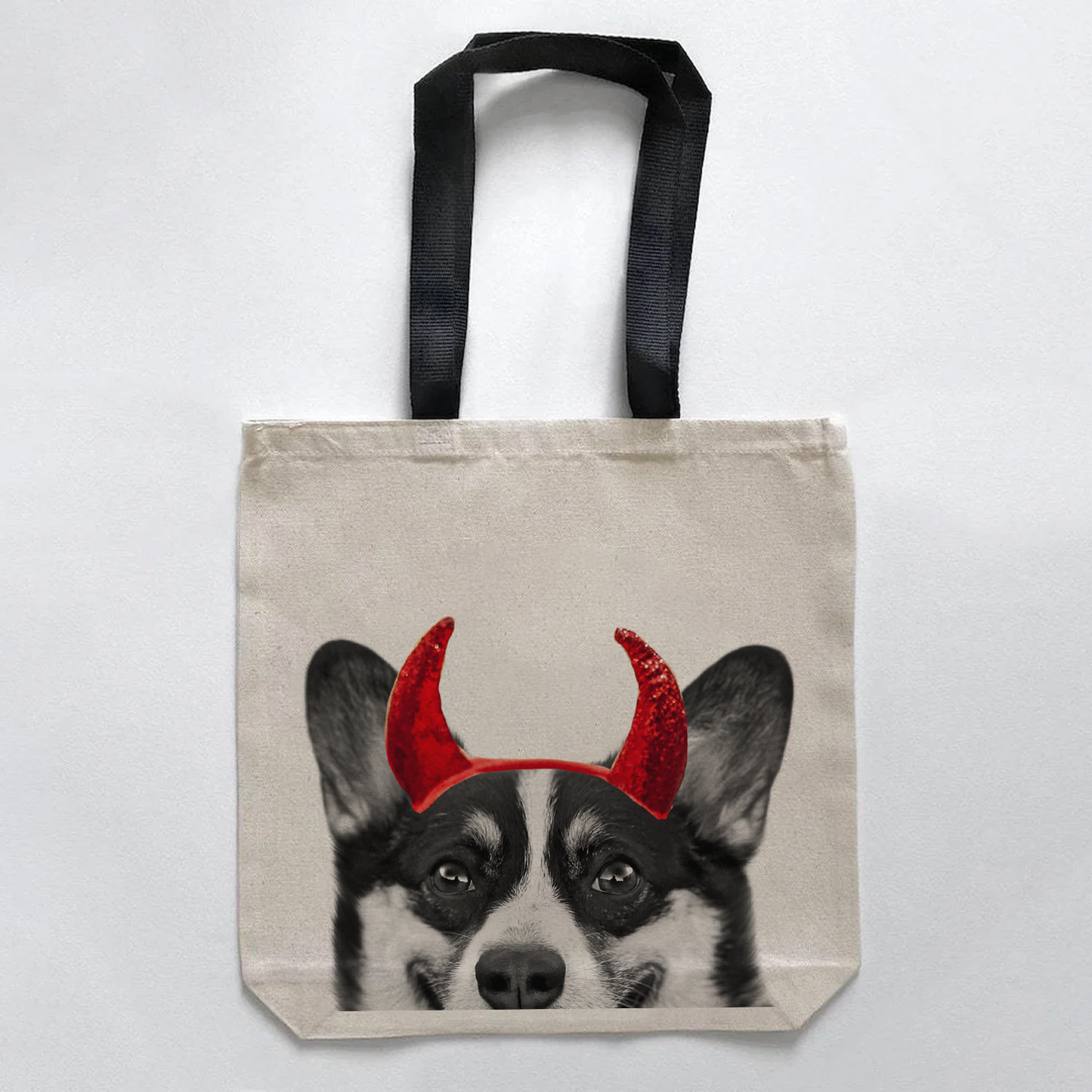 Corgi 2