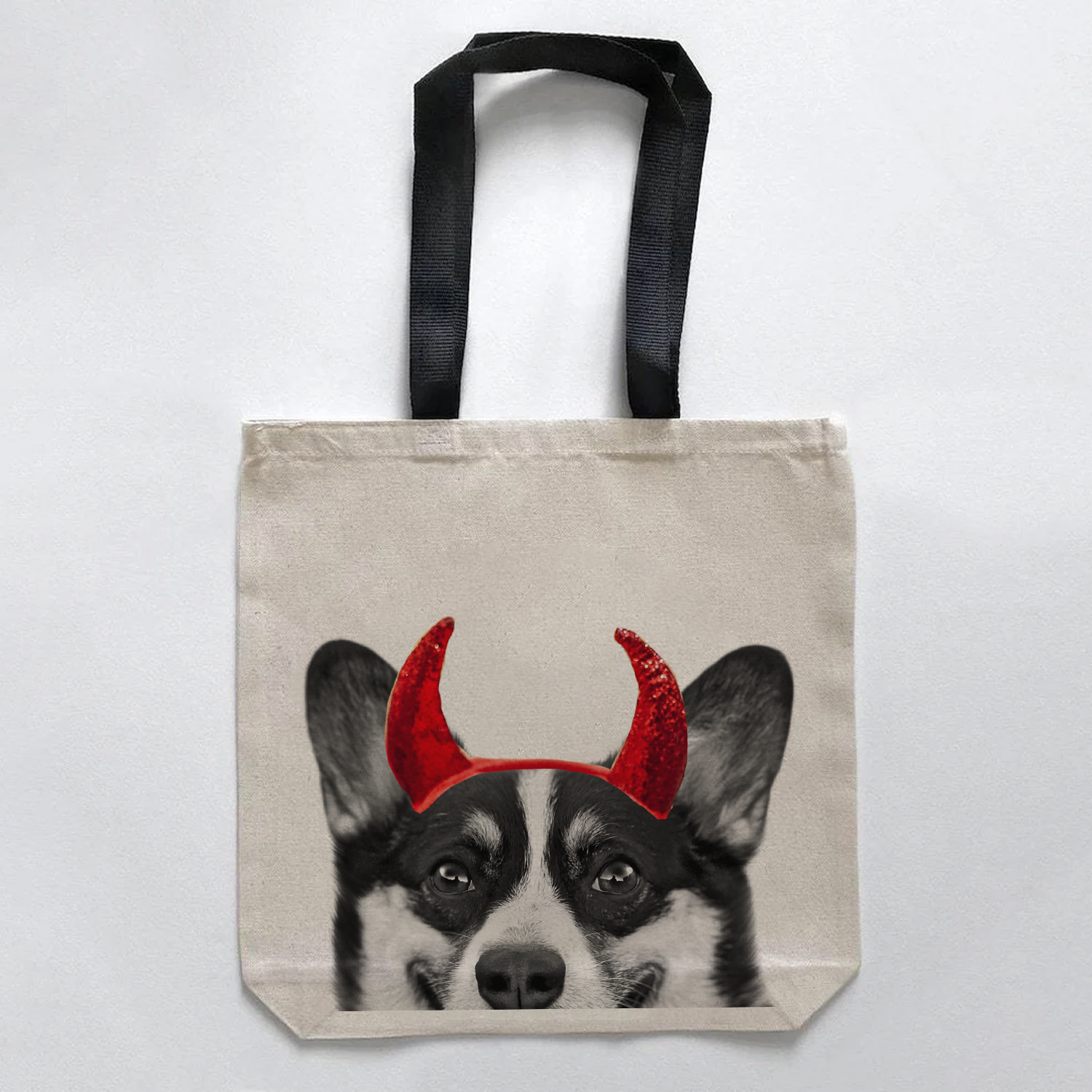 Corgi 2