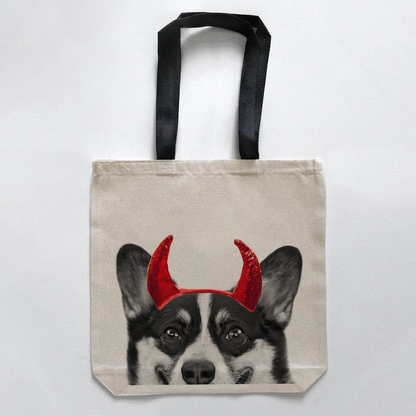 Corgi 2