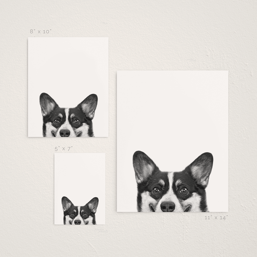 Peeking Pet Unframed Print