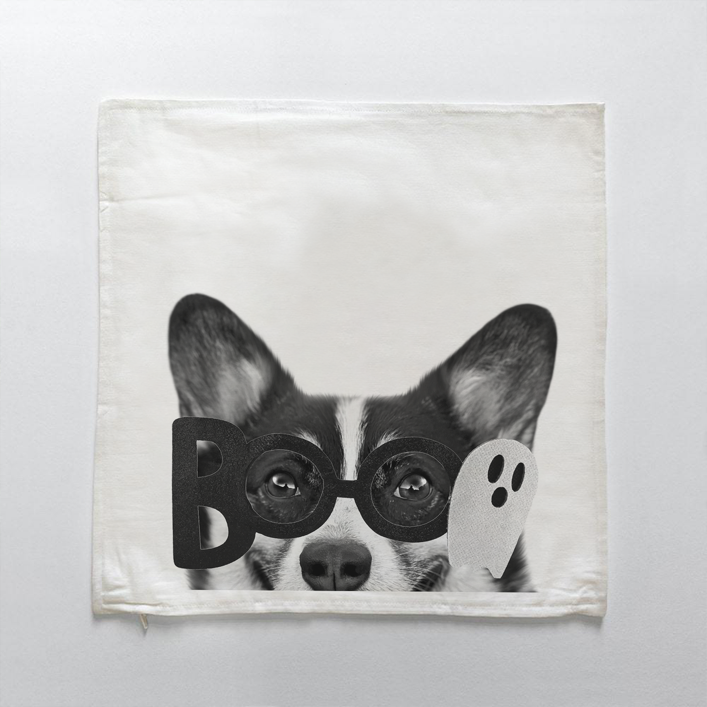 Corgi 2