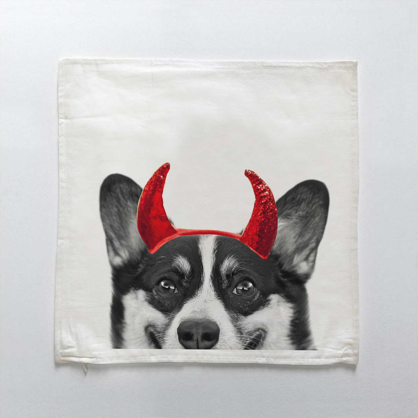 Corgi 2
