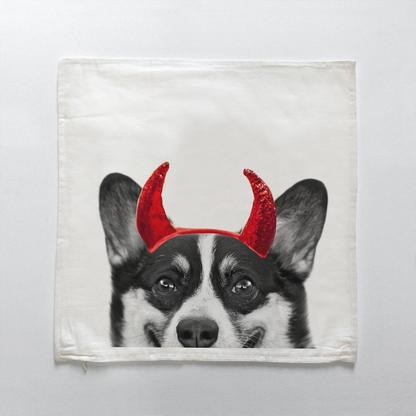 Corgi 2