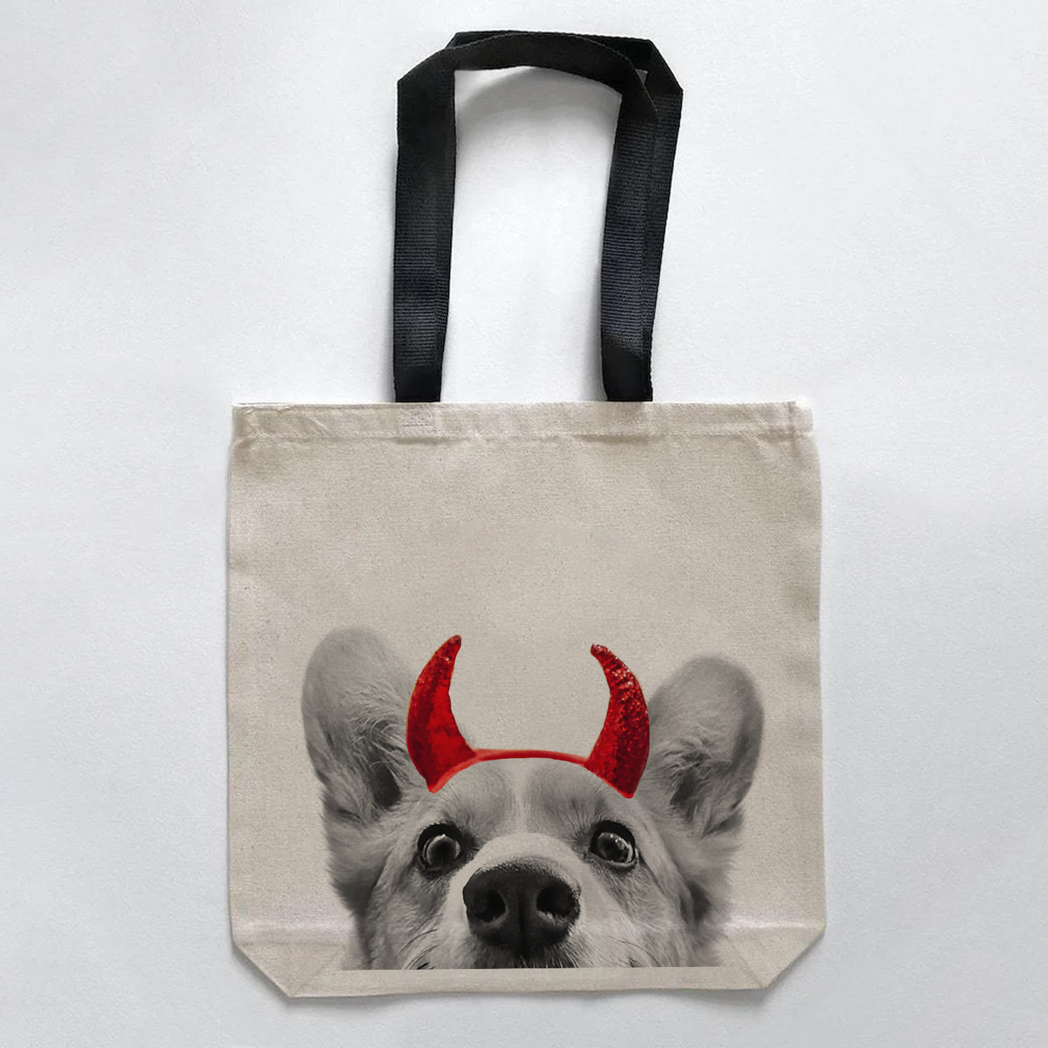 Corgi 1