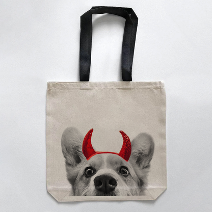 Corgi 1