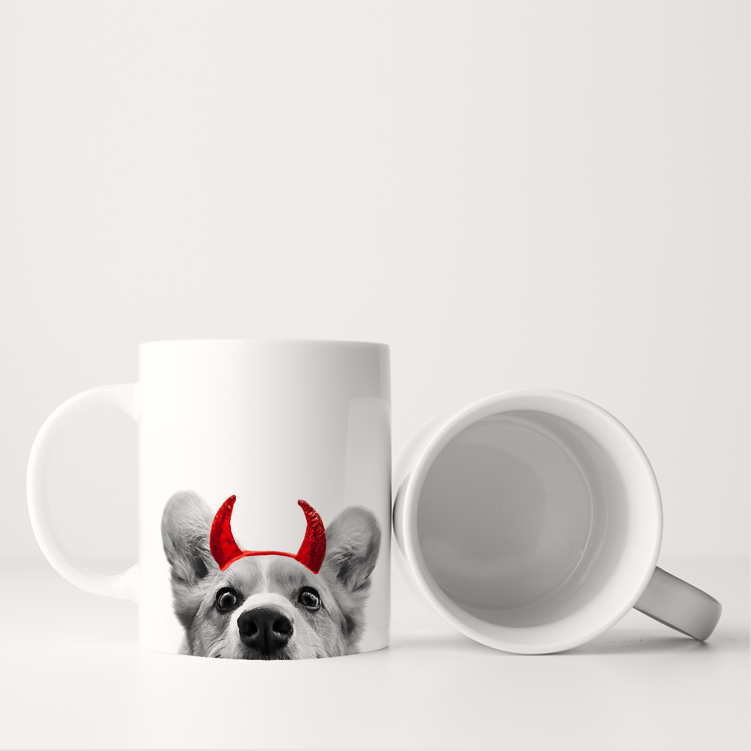 Corgi 1
