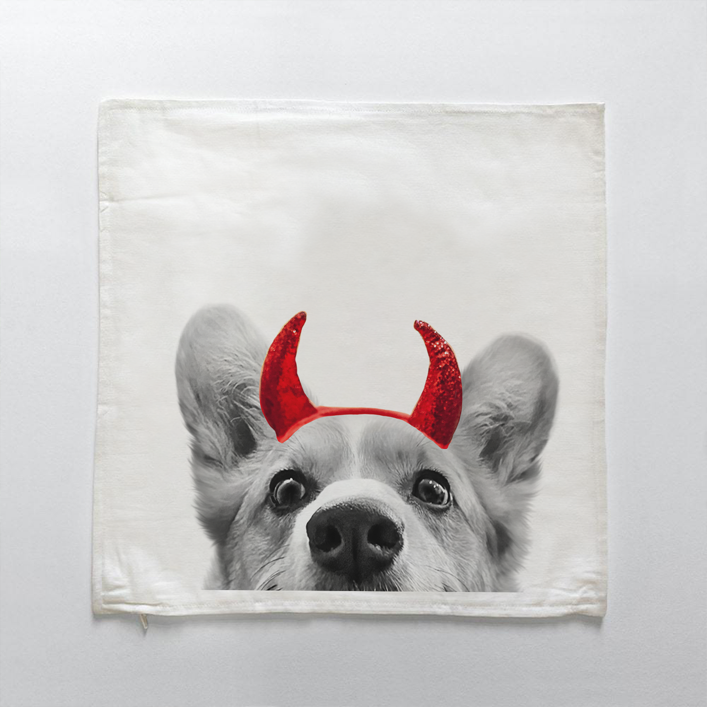 Corgi 1